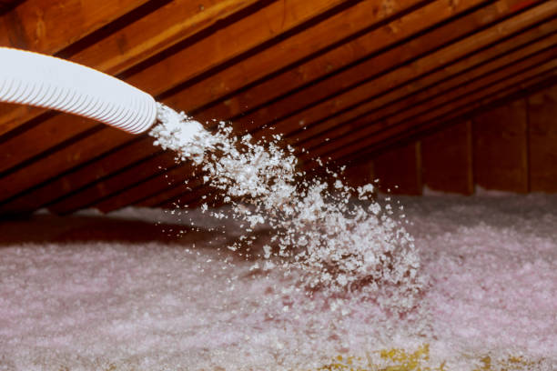 Reliable Eggertsville, NY Insulation Contractor Solutions