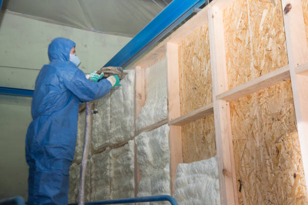 Best Attic Insulation Installation  in Eggertsville, NY